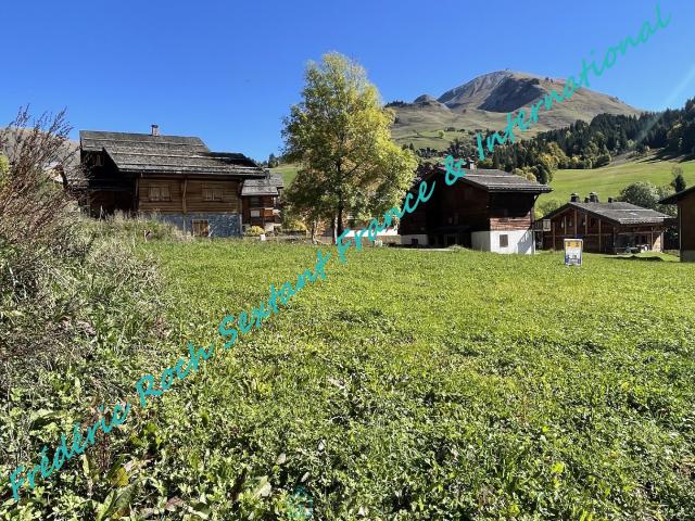 Rare à la vente. Beau terrain viabilisé au Chinaillon