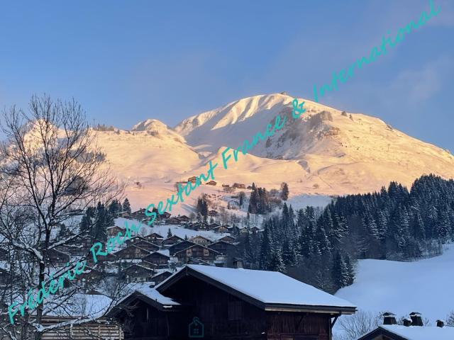 Rare à la vente  terrain viabilisé au Chinaillon avec projet de chalet