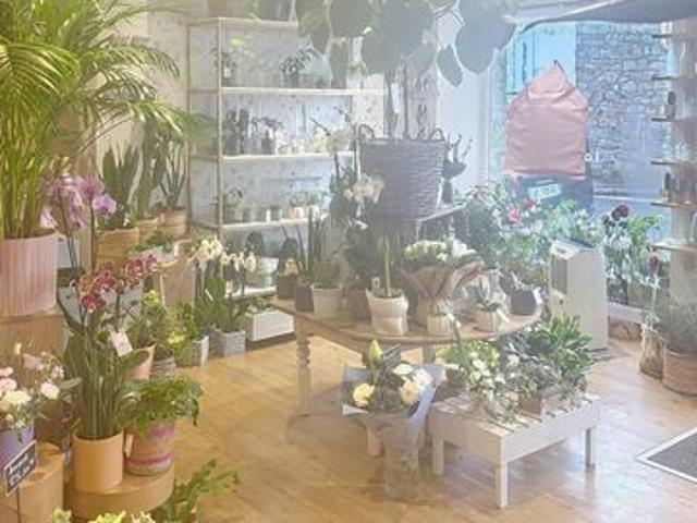 Rare à Rosoff ! Superbe fleuriste en centre ville, emplacement premium, clientèle fidèle. A découvrir sans tarder