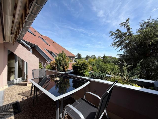 RARE BELFORT Très bel et lumineux appartement T6 en dernie