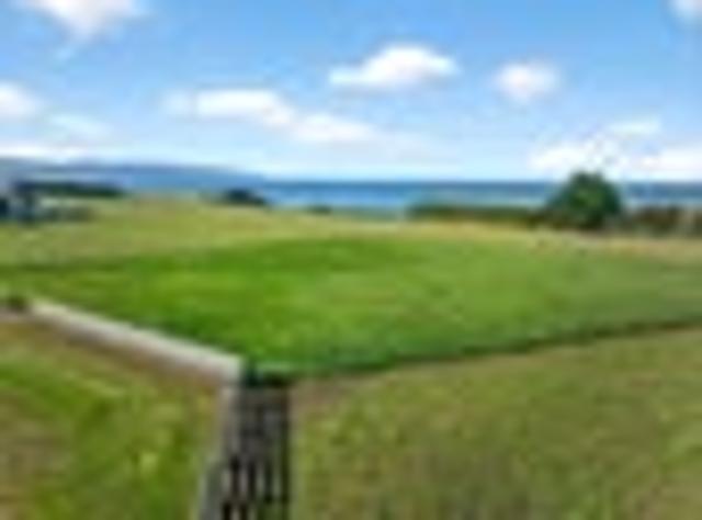 Rare Coastal Canvas – Wharekauhau Estate