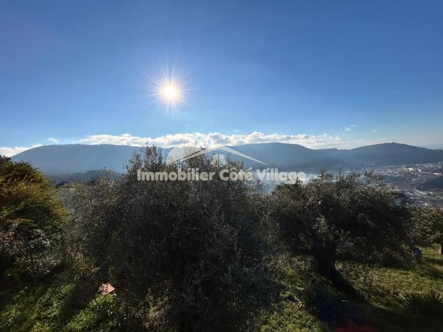 RARE ! DRAP COLLINES Terrain Constructible de 3 000 m2 avec Oliveraie, Accès Indépendant, Vue Mer