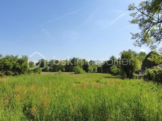 RARE ET AU CALME TERRAIN CONSTRUCTIBLE DE 3245 M2 A ALBIAS