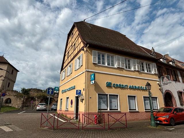 Rare ensemble immobilier à Lauterbourg