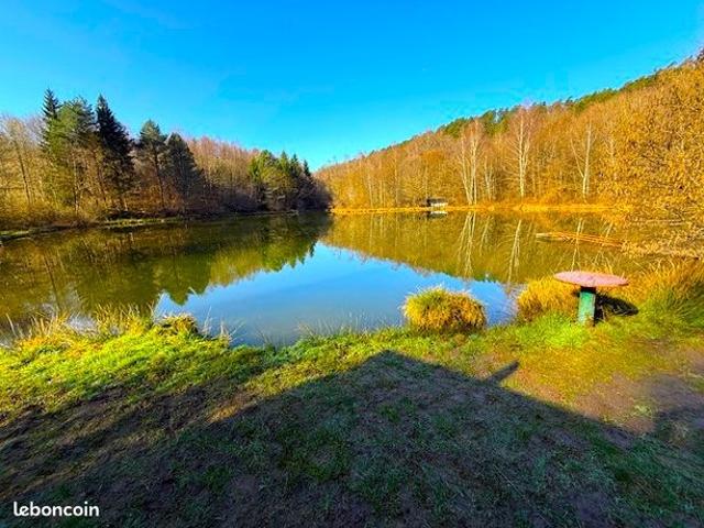 Rare epinal vaste domaine avec 5 etangs et une maison a renover