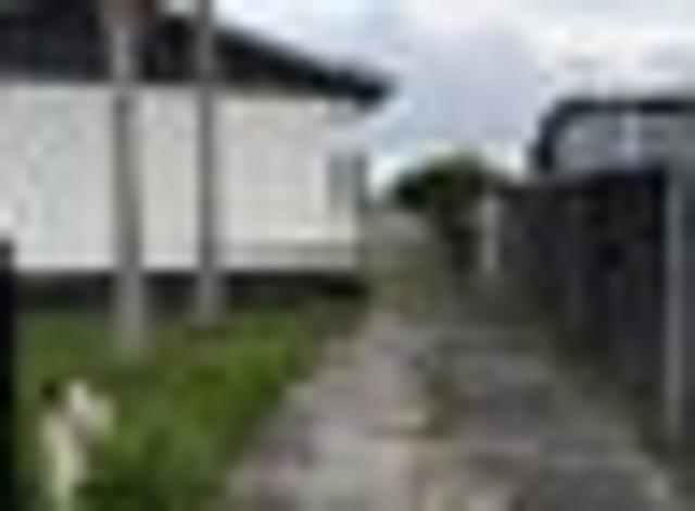 Rare fully renovated 610sqm freehold section