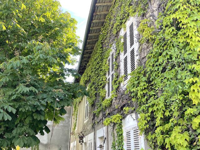 Rare gevrieux 01320. Maison 300m2 surface totale. Jardin
