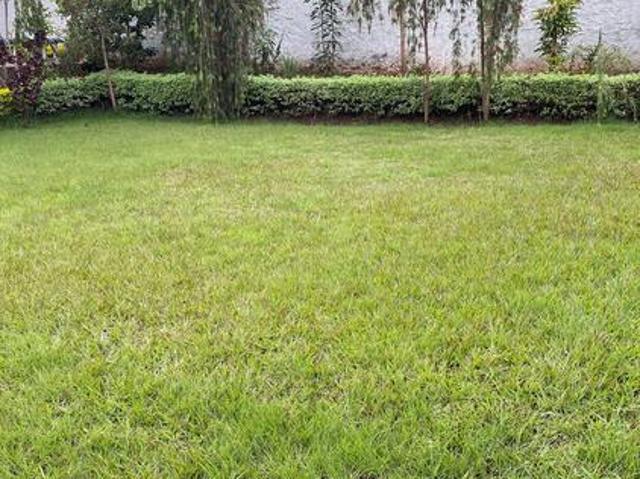 Rare Investment! Spacious 5BR Home on ½ Acre – Ksh 100M!
