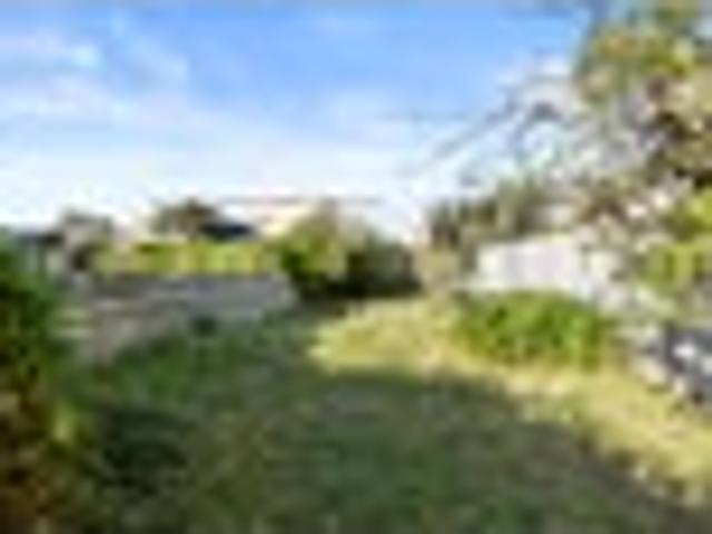 Rare Lyall Bay Find Buy One or Both