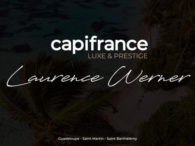 RARE, LA LEZARDE, VILLA VUE MONTAGNE 3CH 3SDE + 2 STUDIOS PISCINE 1700 M² DE TERRAIN