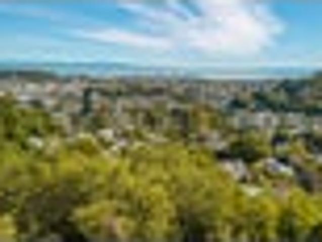 Own Dual Lots of Land with Sea Views near Nelson!