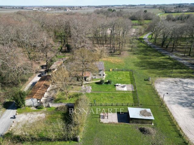 Rare, structures équestres sur 4 hectares à 20 minutes des p