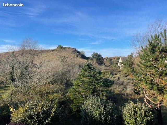 Rare: studio dans les dunes