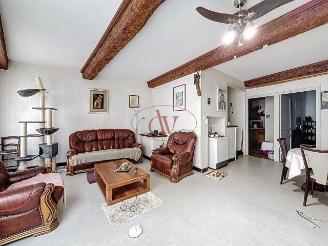 RARE SUR ELNE ENSEMBLE IMMOBILIER