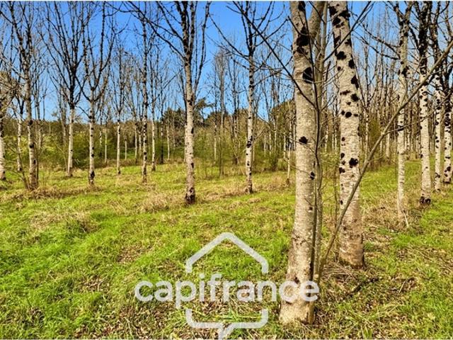 Rare sur le secteur ! Bergerie à rénover avec plus de 4,2 hectares de terrain – Monflanquin
