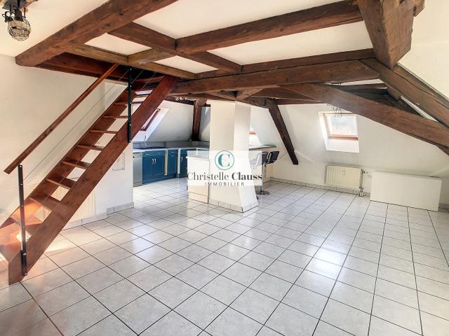 RARE très beau duplex Atypique