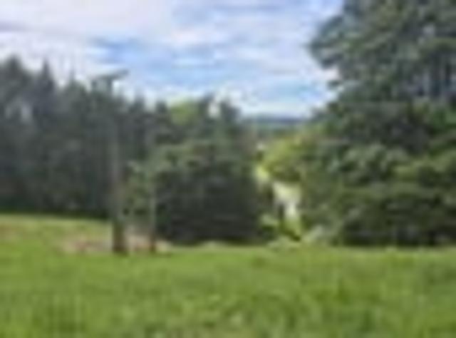 Rare 2.48 acre Elevated Residential Section