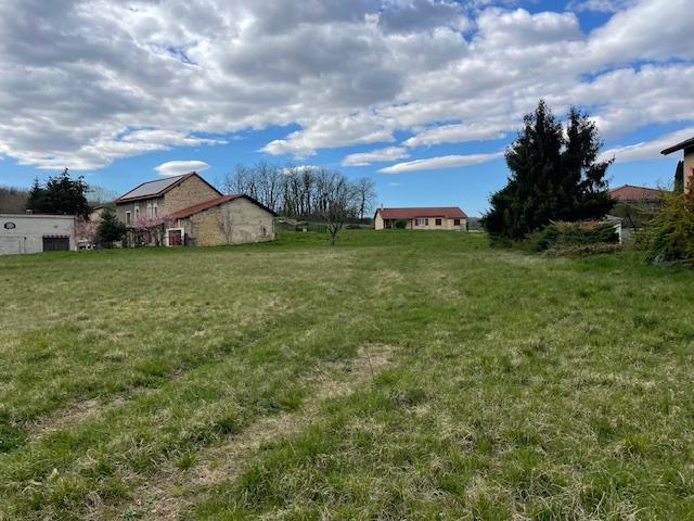 RARE 3 beaux terrains viabilisés à vendre à Siccieu libre constructeur