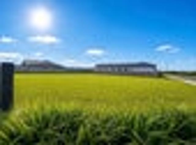 Rare 954m² corner section – Build big, live.