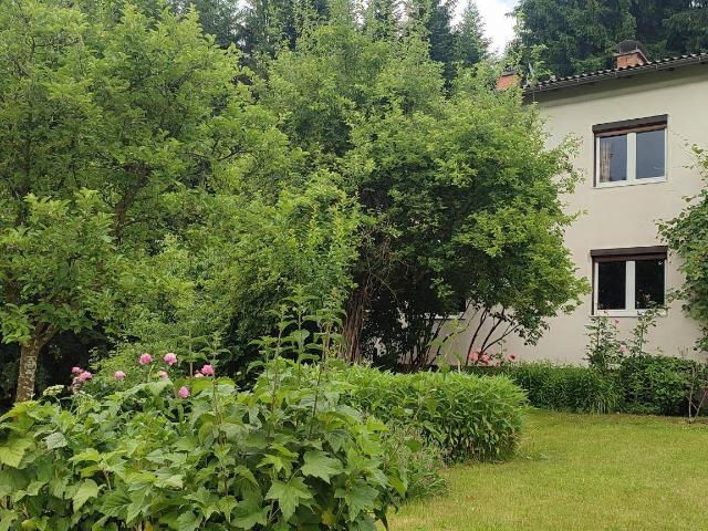 Rarität Einfamilienhaus mit Hauswald und Wiese in sehr beliebter Wohngegend