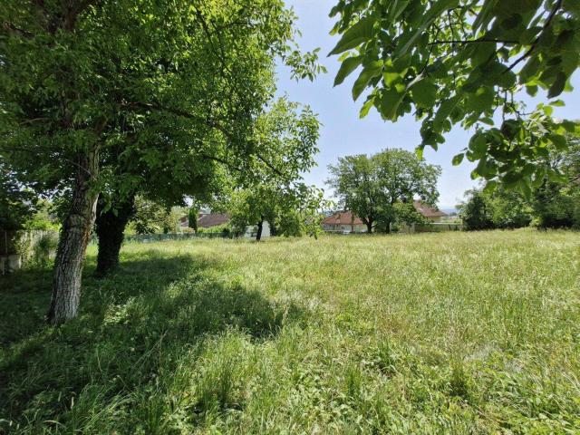 RARITÄT Einzigartiges Baugrundstück in Leonding – 896 m² für Ihr Eigenheim. !