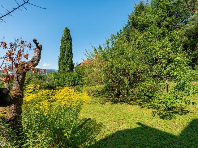 Rarität – Hanggrundstück mit Altbestand & Weitblick am Ruckerlberg