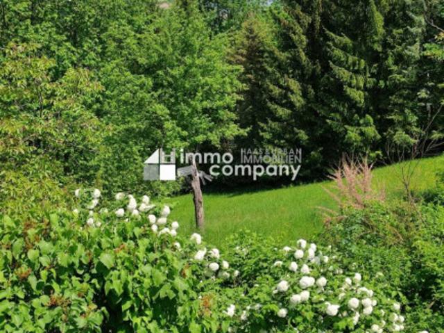 Rarität in Thermennähe! Altes Bauernhaus in unverbaubarer, ruhiger, sonniger Lage mit großem Baulandgrundstück, Wald und Wiese