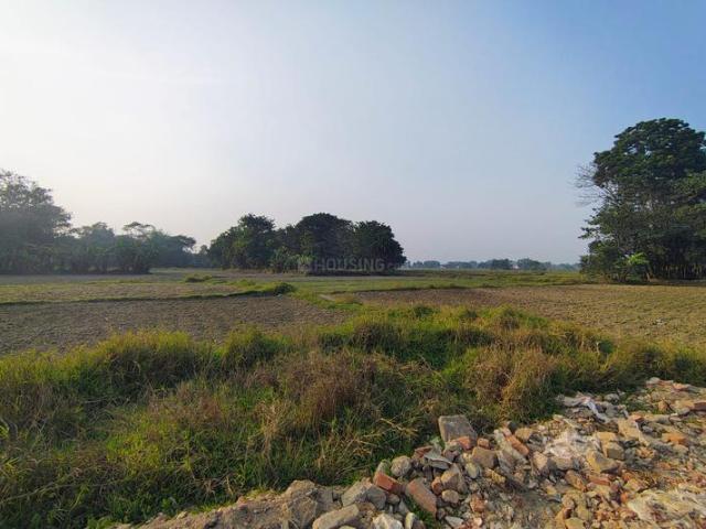 Rasapunja Residential Plot For Sale Raypur