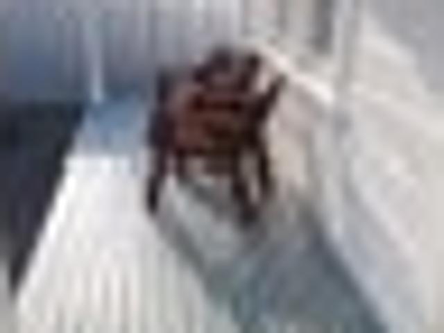 Raureka, 1 bedroom, $430 pw