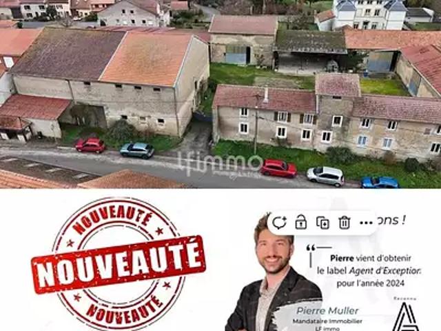 Raville 57530 Achat / Vente maison 11 pièces t11 parking