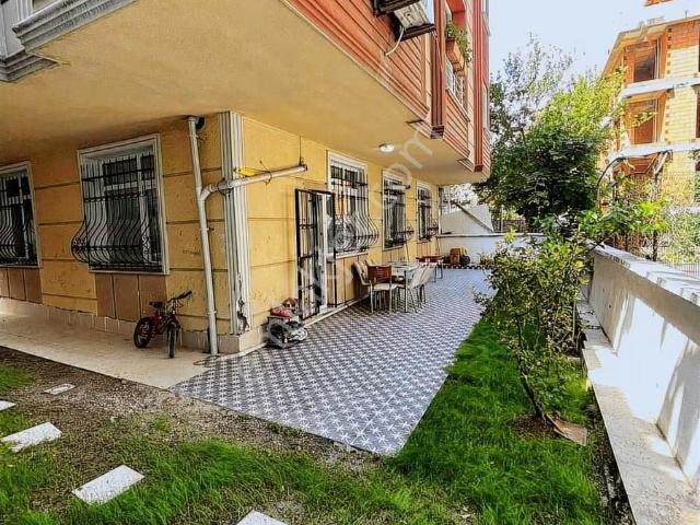 Rayiç Sınırsız İskanlı