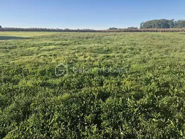Razac d'Eymet 24500 Achat / Vente terrain