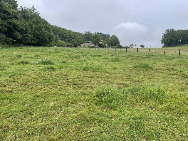 Razès Vente Terrain 87