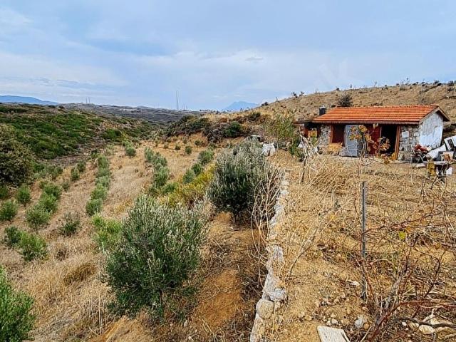 REŞADİYE MAHALLESİNDE BAKIMLI ÇİFTLİK ARAZİSİ VE ÇİFTLİK EVİ