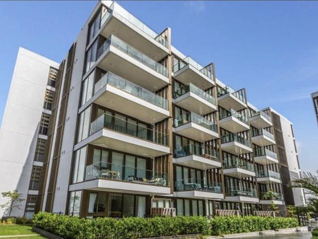 remuera, 1 bedroom