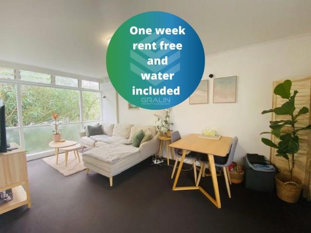 remuera, 1 bedroom