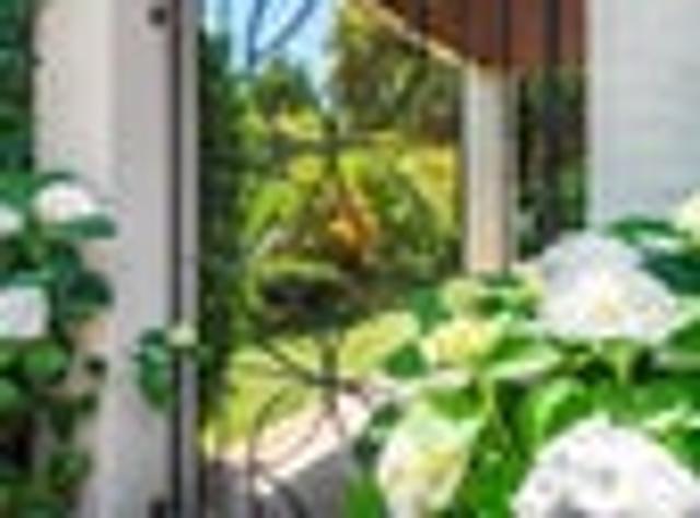 Remuera, 5 bedrooms, $1650 pw