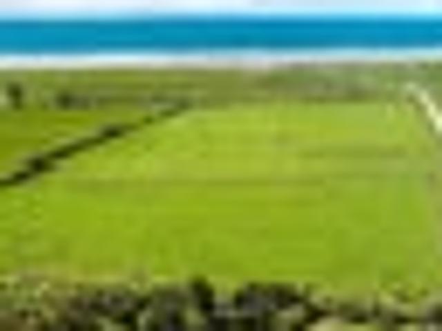 Remarkable Cape Foulwind: Seaviews & Prime.