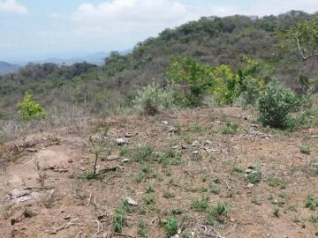 REMATO 21 HECTAREAS, A 15 MINUTOS DE LA PLAYA LO DE MARCOS Y SAN PANCHO
