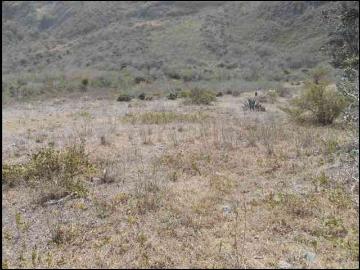 Remato terreno de una hectarea en el crater del pululahua por necesidad
