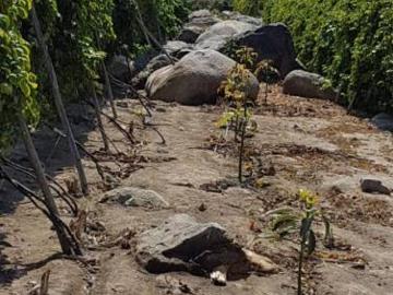 Remato Terreno enorme en Campo Extensión 3809 Ha