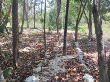 Remato terreno residencial cerca de Punta Maroma – Playa del Carmen