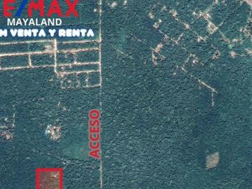 Remate, 2 hectareas juntas en Francisco Uh May