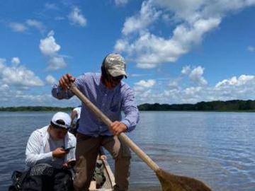 REMATE DE LOTES EN LA SELVA