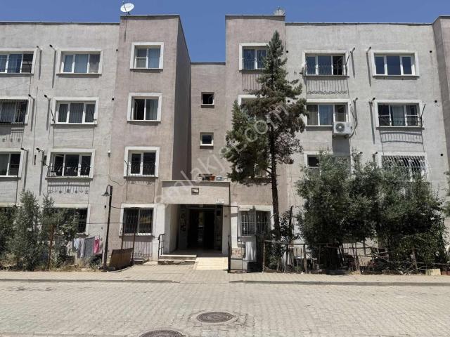 Remax Yeni Den Karacasu Toki'lerde Kiralık 1+1