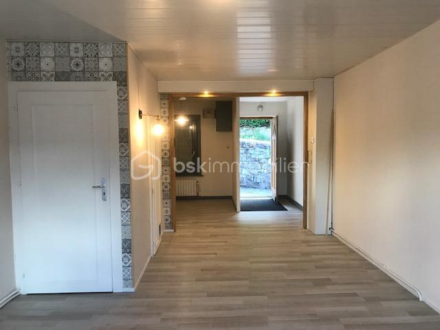 Remiremont Vente Immeuble 88