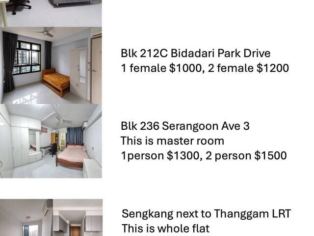 Rent North East Area