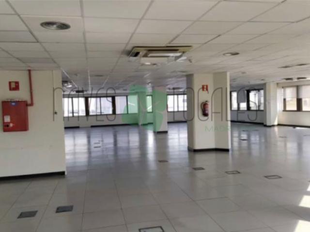 Rent Office / Practice Madrid