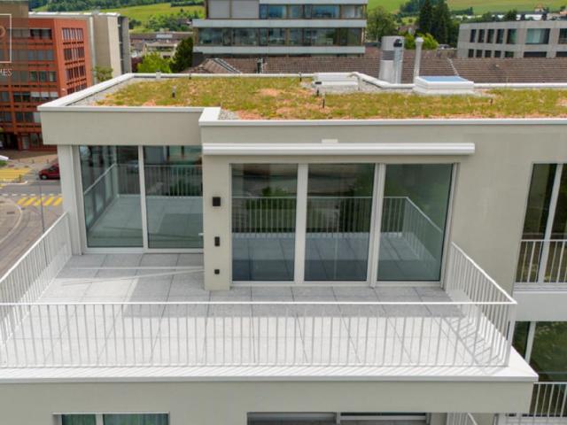 Rent a 3 ½ rooms terrace flat in Zug Flatfox