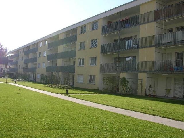 Rent a 3 ½ rooms apartment in Aarau Flatfox